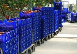 4 Thương hiệu Xe đẩy hàng Công Nghiệp đáng mua